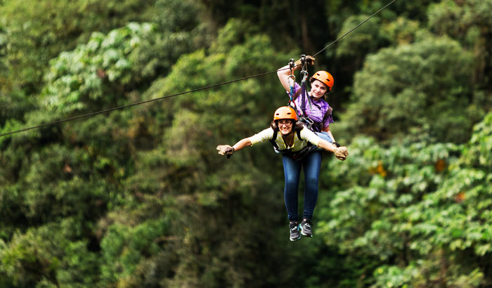 Flying-Fox