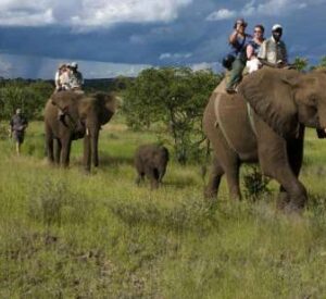 elephant_safari_tours_jim